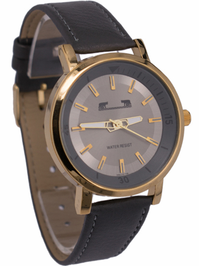 Ceas bărbătesc Matteo Ferari Casual MF109_GY_G