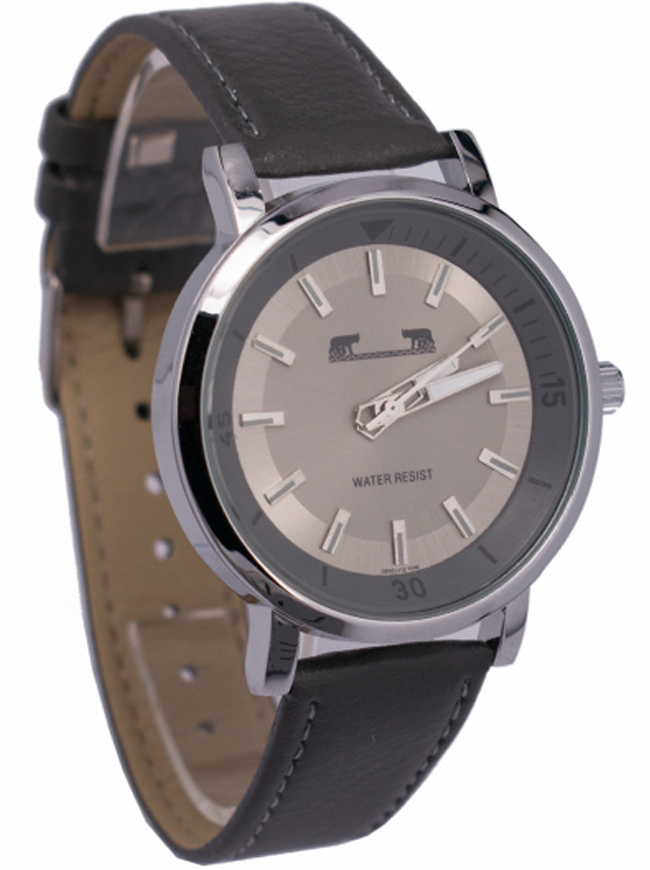 Ceas bărbătesc Matteo Ferari Casual MF109_GY_S