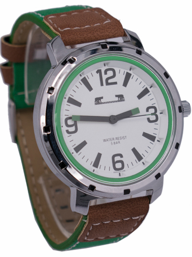 Ceas bărbătesc Matteo Ferari Casual MF110_GR_S