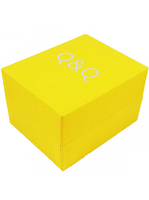 Cutie depozitare ceas Q&Q